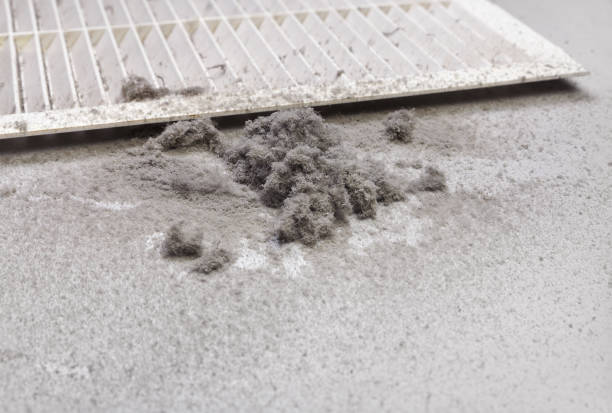 Best Emergency Air Duct Cleaning  in Las Animas, CO