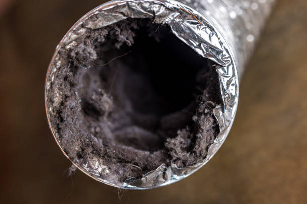 Best Air Vent Cleaning Services  in Las Animas, CO