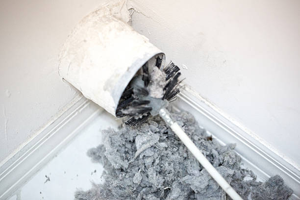 Best Air Duct Cleaning Near Me  in Las Animas, CO
